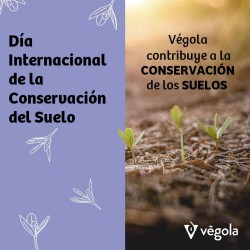 Día Internacional de la conservación del suelo